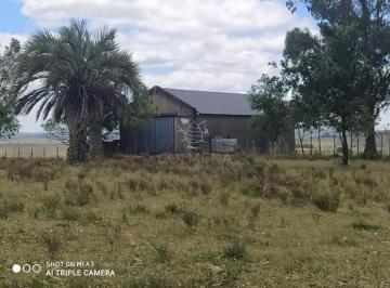 Foto1 · Campo 28 Has en Corte La Leña con Casa y Costa de Arroyo.