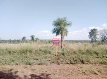 Terreno · 13000m² · (V194) Hectárea en Candelaria Ideal Para Casaquinta