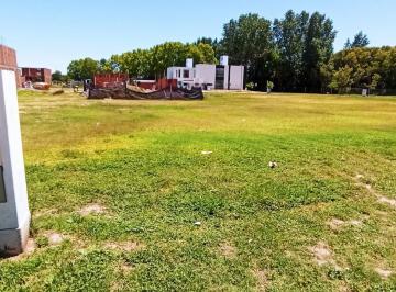 Terreno · 360m² · Lote de 360 m² en Campo Chico