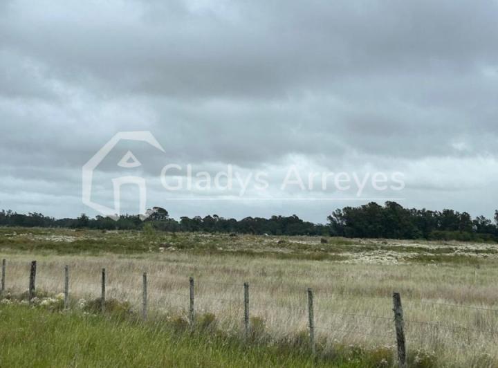 Campo · 35100m²