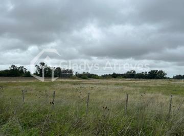 Campo , Punta Indio · 3.5 Hectáreas en Verónica, Partido de Punta Indio.