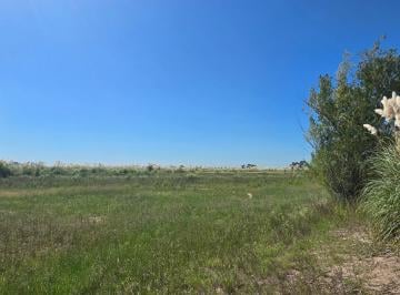 Campo , Esteban Echeverría · Venta de Campo de 51 Hect en Calle Perimetral de Country La Providencia Canning.