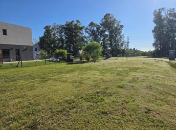 Terreno · 457m² · Lote en Venta en Barrio Santa Elisa, Pilar del Este