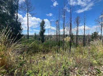 Campo · 25000m² · Chacra en Venta - Estancia Yacanto