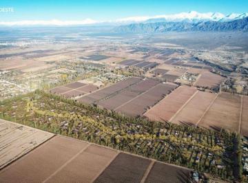 Terreno · 600m² · Terreno en Venta en Vistalba