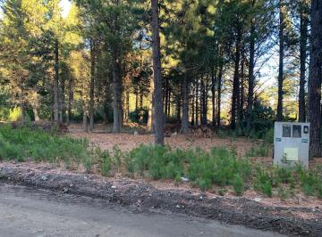 Terreno , San Carlos de Bariloche · Terreno en Dos Valles con Planos Aprobados Para Construccion de 180 m².