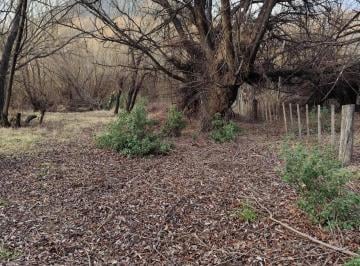 Terreno · 4000m² · Terreno en Pedregoso