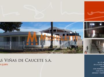 Bodega-Galpón · 15000ha · Bodega Viñas de Caucete S. a