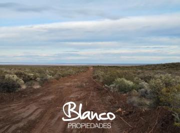 Campo · 15000m² · Terreno Campo en Venta en 25 de Mayo, Puelen, La Pampa