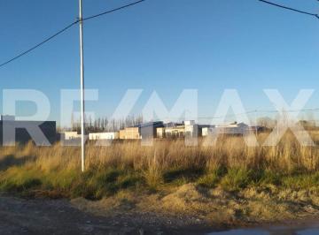 Terreno · 313m² · Venta Terreno en B° Los Juanes Allen (Lote 12)
