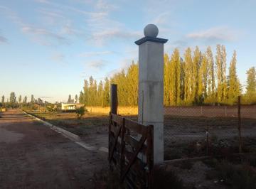 Terreno , San Rafael · Lote de 346 m² en San Rafael Mendoza