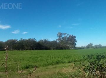 Terreno · 62500m² · Terreno - Venta - Moreno Cuartel V