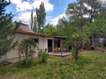 Campo de 8 ambientes, San Rafael · Venta Finca 15 Ha El Usillal San Rafael Mza, Viñedos, Galpon, casa y Depto.