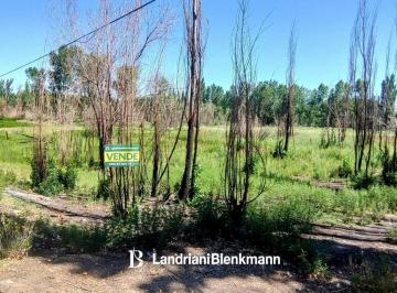 Terreno · 32000m² · Terreno en Cinco Saltos