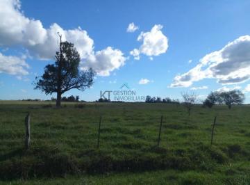Campo · 19990m² · Ha Cañuelas