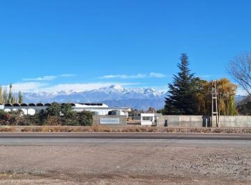 Terreno , Luján de Cuyo · Vendo Terreno de 16.000 m² en Perdriel. Luján de Cuyo.