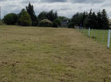 Terreno , Cañuelas · Lote Sobre Ruta 3