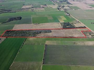 Campo · 187000m² · Venta - Campo - Chacra - Carmelo - Colonia Arrué