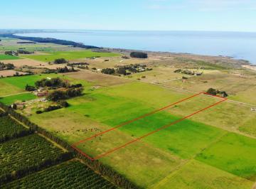 Campo · 56433m² · Colonia, Matamora - Venta Campo de 5 Hectáreas a m de La Playa
