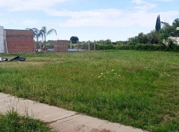 Terreno · 392m² · Terreno a La Venta en Barrio Terra Nuova - Monje