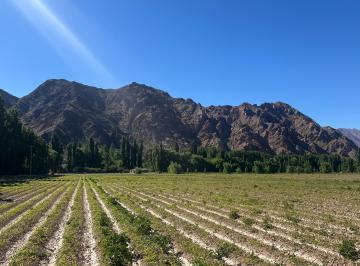 Campo , Uspallata · Finca en Venta Uspallata