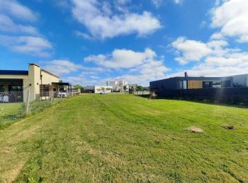 Terreno · 555m² · Terreno Lote en Venta en San Ramiro, Pilar del Este, Pilar