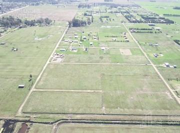 Campo · 2450m² · Uribelarrea, Praderas de Uribe