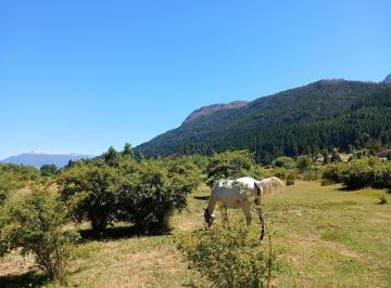 Campo · 40000m² · 2 Dormitorios · Chacra en Pedregoso