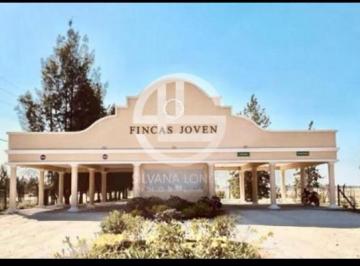 Terreno · 600m² · Lote Venta 618 m² Fincas Joven Financiado