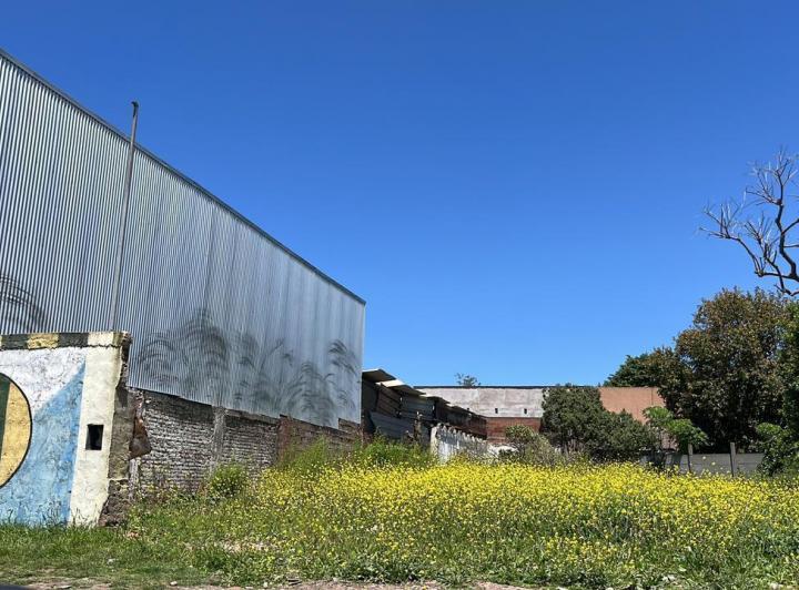 Local comercial · 502m²
