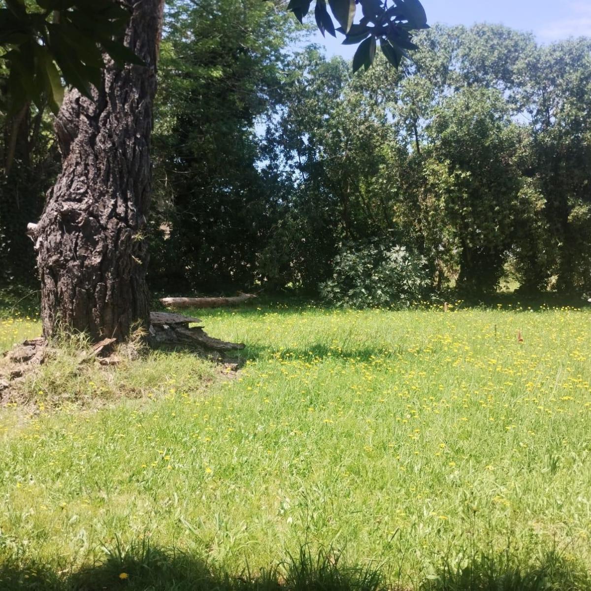 Vendo lote en Barrio Las Dalias