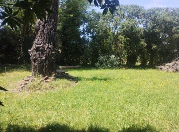 Terreno , Mar del Plata · Lote La Dalias 253 m² Los Quebrachos y Las Lambersianas
