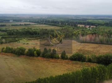 Campo · 425m² · 8 Ambientes · Finca 40 Ha en Venta en Tunuyan Mendoza