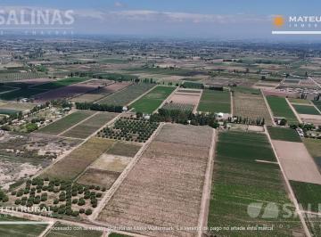 Campo · 140000m² · Finca en Fray Luis Beltran