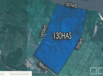 Terreno , Escobar · Venta Fracción 130has Escobar Rio Paraná