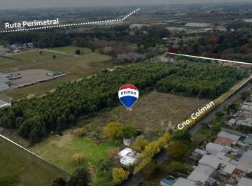 Terreno · 61965m² · Venta Terreno 6 Hectáreas Sobre Camino Colman