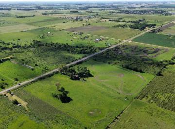 Campo · 30000m² · Vendo Campo de 3 Hectáreas en San Justo, Entre Ríos.
