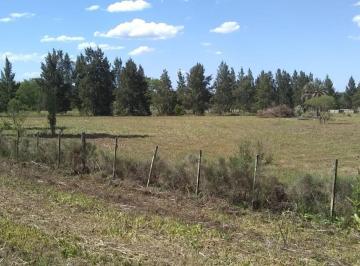 Terreno · 10000m² · Terreno en Venta - Cardales