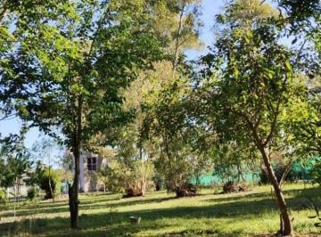 Campo de 7 ambientes, Luján · Campo Olivera Apto Loteo Todo Cerrado