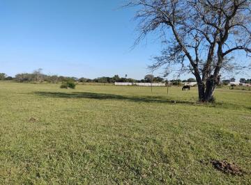 Terreno · 265m² · Terreno en Venta - Nelson - Zona en Crecimiento