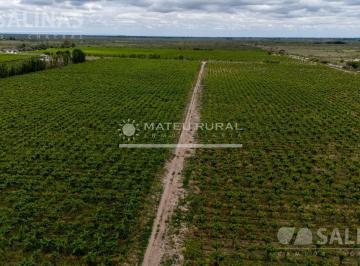 Campo · 580000m² · Finca en Santa Rosa