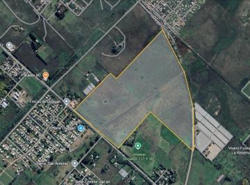 Campo · 534000m² · Campo en Venta