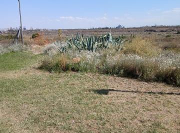 Terreno , Las Compuertas · Dueño Directo Vendo Terreno en Las Compuertas Lujan de Cuyo