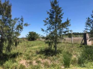 Terreno , Cañuelas · Lote en Venta Etapa 1 - Loteo Abierto Moradas