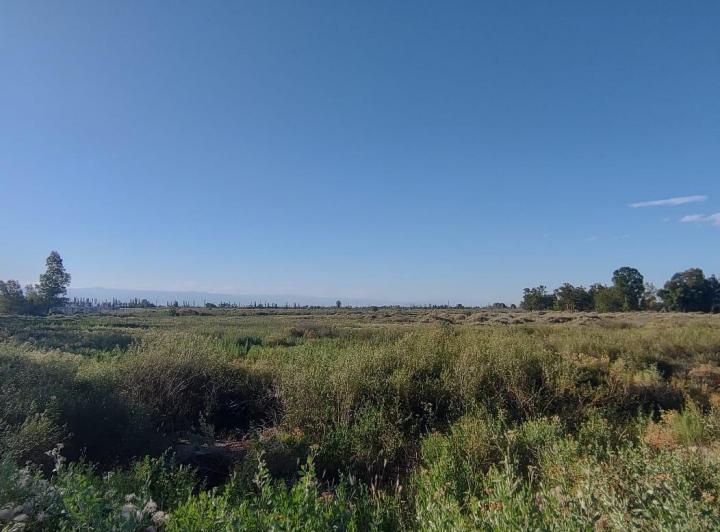Terreno · 90000m²