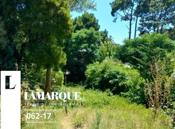 Terreno · 467ha · Lote Ostende, Calle Dante. a 2 Cuadras Av Victor Hugo