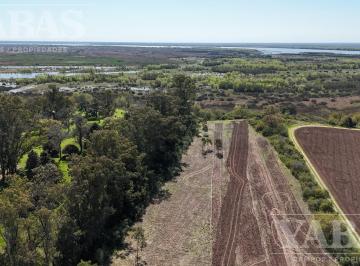Campo · 3ha · Venta - Campo - 3 Ha - San Pedro (Bs. As) - Vuelta de Obligado
