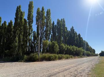 Campo · 134m² · 4 Ambientes · Chacra de 1.7has + Casa en Senillosa | Neuquén