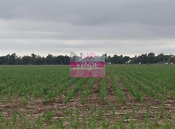 Campo · 130m² · 2 Ambientes · Venta Campo Mixto 130 Has Partido de Ayacucho
