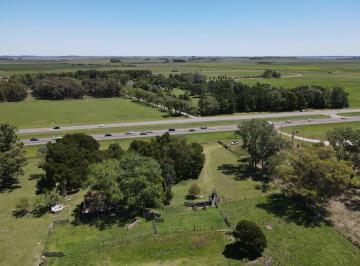 Campo · 70m² · Chacra en Venta, Chascomus - 46 Has Sobre Ruta 2! Ideal Planta de Silos / Feed Lot